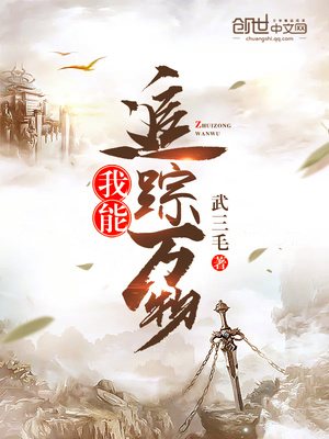 我能追踪万物 小说
