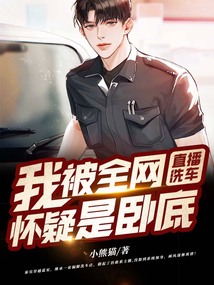 直播洗车:我被全网怀疑是卧底全文免费阅读