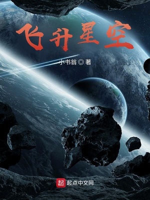 飞升星空 小说