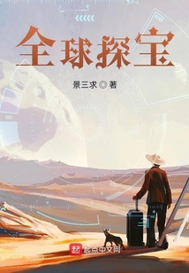 全球探宝:从身无分文到亿万富翁小说下载