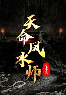 天命风水师完整版免费观看