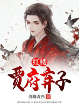 红楼之贾府弃子TXT百度