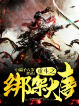 重生之大唐儒帅