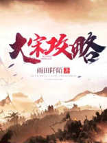 大宋攻略 小说