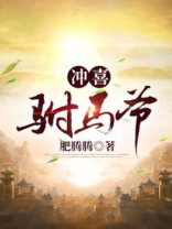 冲喜驸马爷 小说