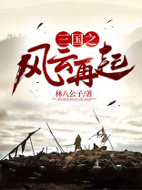 三国之风云再起 小说