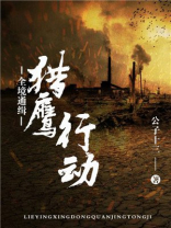 全境通缉猎鹰行动小说讲什么