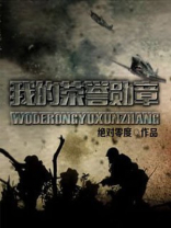 我的荣誉勋章小说全文阅读