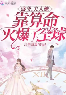 盛爷,夫人她靠算命火爆了全球好看吗?百度云下载