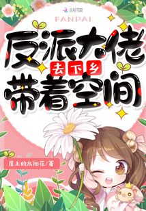 反派大佬带着空间去下乡TXT下载