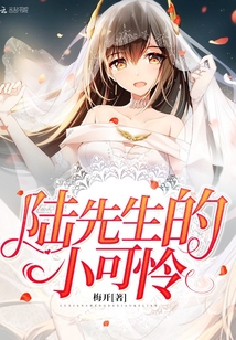 陆先生,她死了你可满意小说