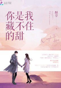 你是我藏不住的甜舒歌傅南霆小说