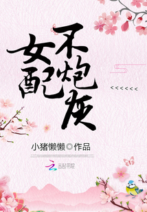 女配不炮灰