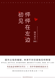 初见怦怦在左边小说