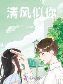 清风似你的全部歌词