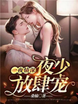 一夜情深:夜少放肆宠