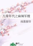 九零年代之麻辣军嫂