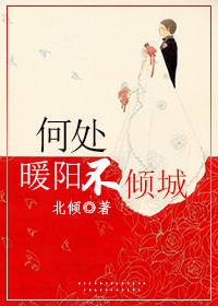 何处暖阳不倾城全文免费阅读 小说