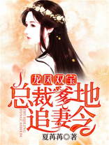 龙凤双宝总裁爹地追妻令全文阅读