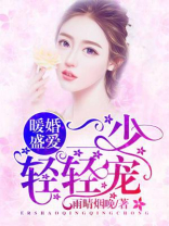 你是我最美丽的意外生子文男男小说