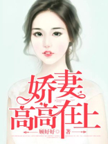 娇妻高高在上
