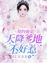 言情小说天降爹地太粘人