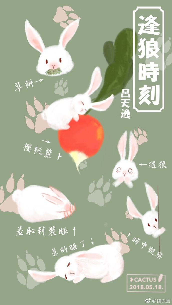 逢狼时刻百度盘