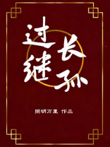 过继长孙最新章节