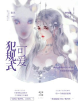 小说你的可爱犯规了