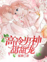 高冷男神甜甜宠小说
