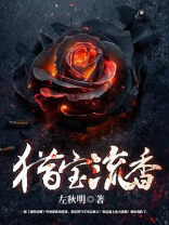 猎宝记 小说