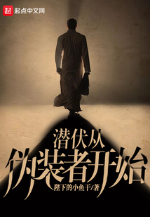 潜伏从伪装者开始TXT免费下载
