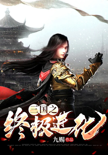 终极三国之美