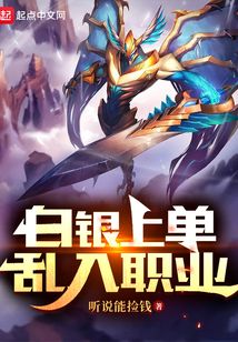 白银上单,乱入职业无错