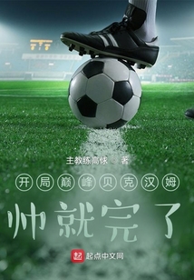 重生贝克汉姆的小说