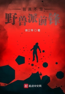 我真不是野兽派前锋 小说