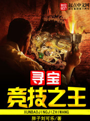 寻宝王的武器宝珠自选礼盒