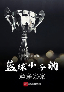篮球小子的成神之路 小说