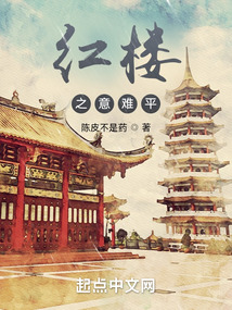 红楼之意难平小说