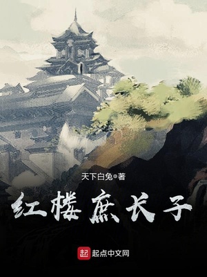 红楼庶长子笔趣阁