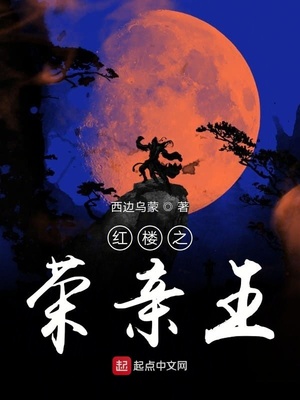 红楼之荣亲王小说无弹窗无广告_西边乌蒙_顶点小说