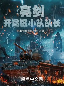 亮剑:开局区小队队长