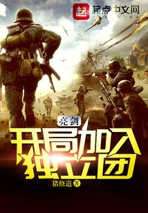 亮剑:开局加入独立团