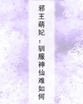邪王驯妃记