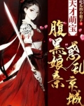天才萌宝:腹黑娘亲惑乱京城