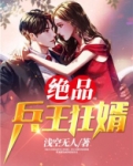 小说绝品兵王