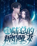 虐爱成宠陆总的新婚哑妻电视剧免费观看全集