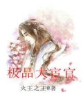 小说 极品大太监
