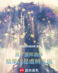 圣杯战争的梗
