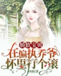 娇软宝贝：在偏执乔爷怀里打个滚